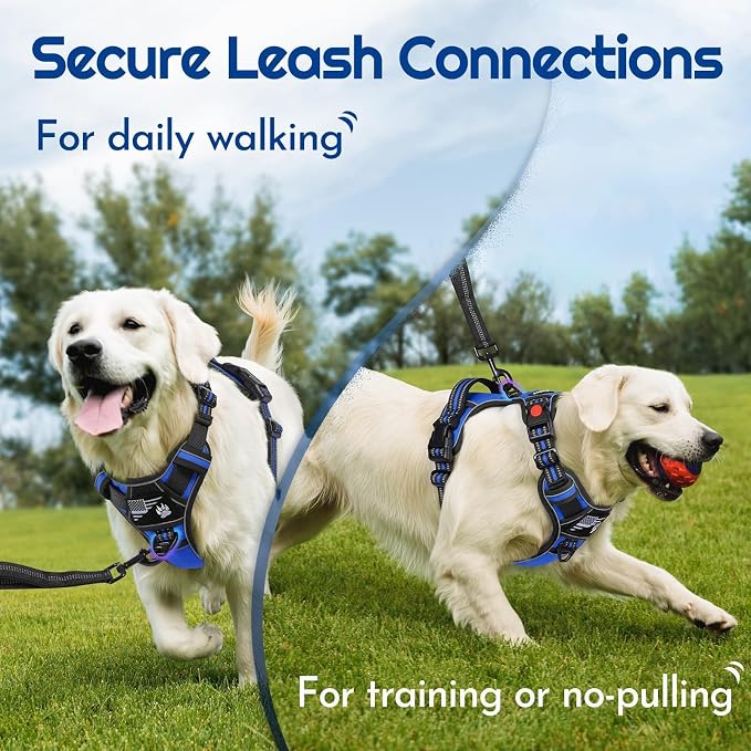 Eagloo Dog Harness No Pull for Large Dogs, Easy On & Off with 3 Buckles | No Choke with Front Clip, Adjustable Fit, MOLLE System, Reflective Vest, Easy Control for Walking, Black & Blue, Large - Image 4