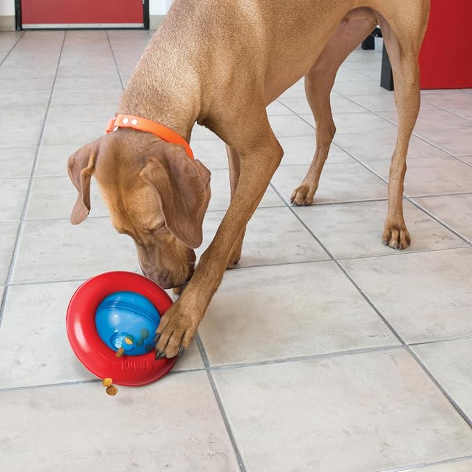 KONG Gyro, Interactive Treat-Dispensing Dog Toy, for Small Dogs | Interactive Treat-Dispensing Toy & Slow Feeder That Supports Healthy Eating & Engaging Mealtime Play - Image 4