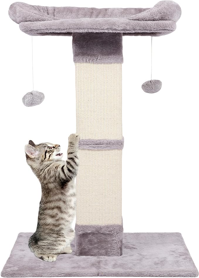34" Tall Cat Scratching Post with Bed, Sisal Scratch Posts Trees with Plush Perch and Hanging Ball for Indoor Cats, Removable Cover, Large Scratch Post and Base, Rugged and Durable, Light Grey by Runske