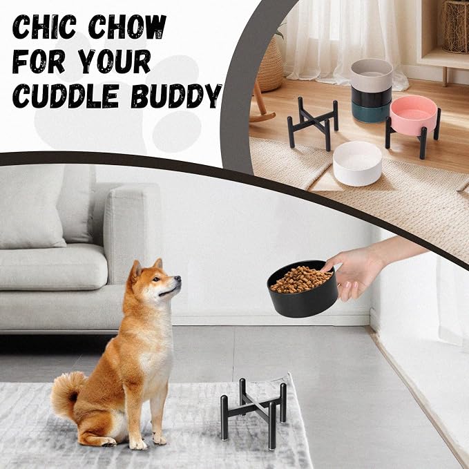 Raised Ceramic Dog Bowl Set with Stand, 2 Cups Elevated Dog Food Stand | 6.1'' Single Dog Food or Water Bowl Set, Non-Slip Dog Feeding Dishes for Small to Medium Breeds, 28.75 OZ, White - Image 8