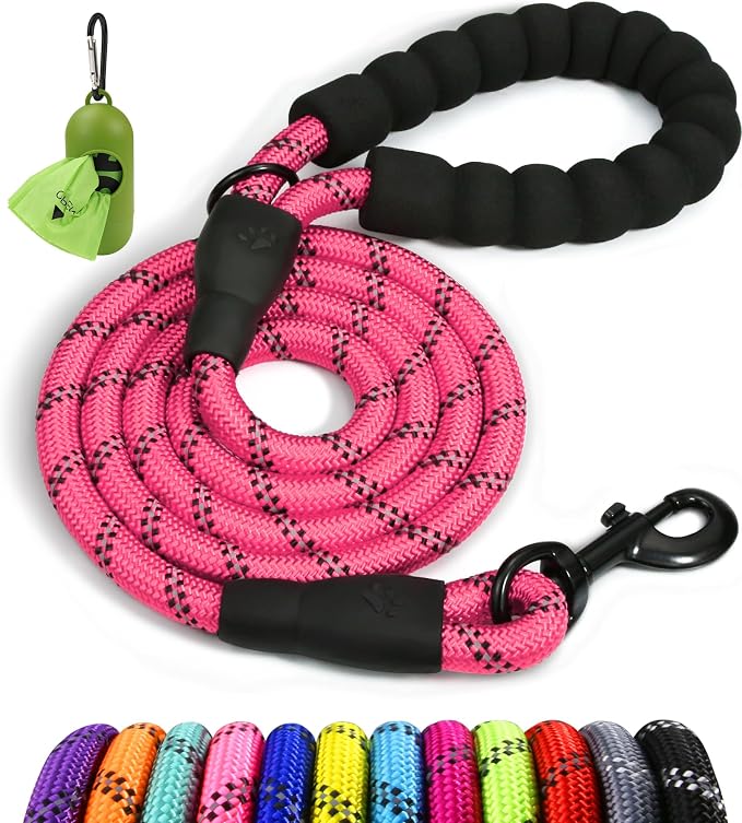 Taglory Rope Dog Leash for Small Medium Dogs, 5 FT Padded Handle, Pink | Made of Climbing Rope, Reflective for Night Walks and Training, Comfortable Grip, Anti-tangle Swivel Clip, 3/8 inch by Taglory