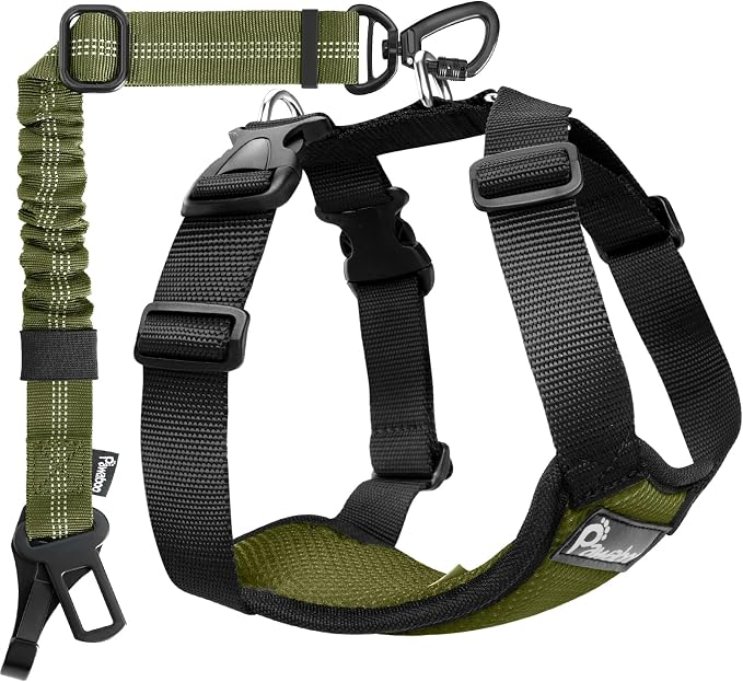 Pawaboo Dog Seat Belt Harness for Car, Seatbelt Harness with 2 in 1 Buckle | Adjustable Breathable Harness for Car, Elastic Reflective Heavy Duty Dog Tether, for Small Medium Large Pets, S, Green by Pawaboo