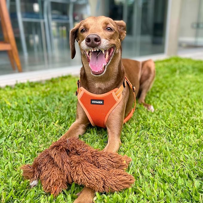 Voyager Step-in Flex Adjustable Dog Harness - Orange, Large | 20 - 25" in Chest, Fully Adjustable, Reflective Bands, All Weather Breathable Air Mesh, Lightweight, Fast Drying - Image 7