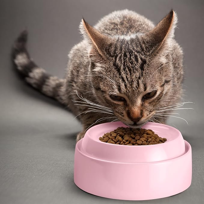 CatGuru Cat Bowls, Whisker Friendly Food Bowl for Indoor Cats, Reliefs Whisker Fatigue, Wide Kitten Dish, Non Slip Pet Dishes, Shallow Pet Plates (Pink, (Pack of 2)) - Image 5