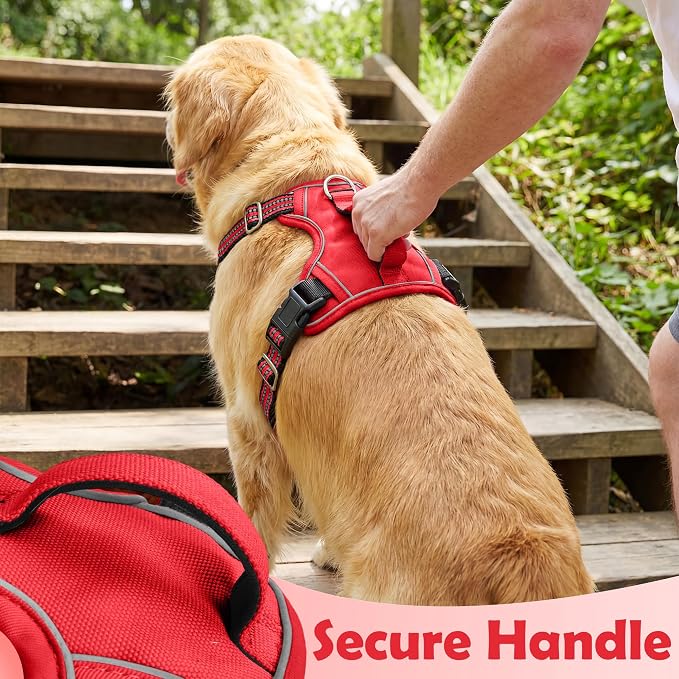 Dog Harness No Pull, Adjustable Pet Vest Harness, Super Soft Material with Vertical Handle Easy Control, Reflective Night Walking, 2 Leash Clips for XLarge Dogs, Red, XL - Image 5