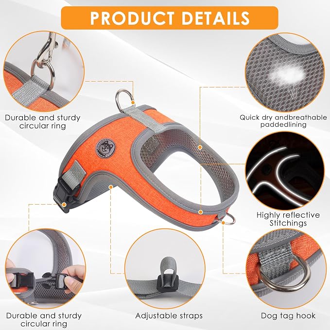 Dog Harness and Leash Set, No Pull Saddle Style Pet Harness, Breathable Mesh Adjustable Reflective Dog Vest for Medium Small Dogs Harness 2 D-Rings, Orange, S - Image 2
