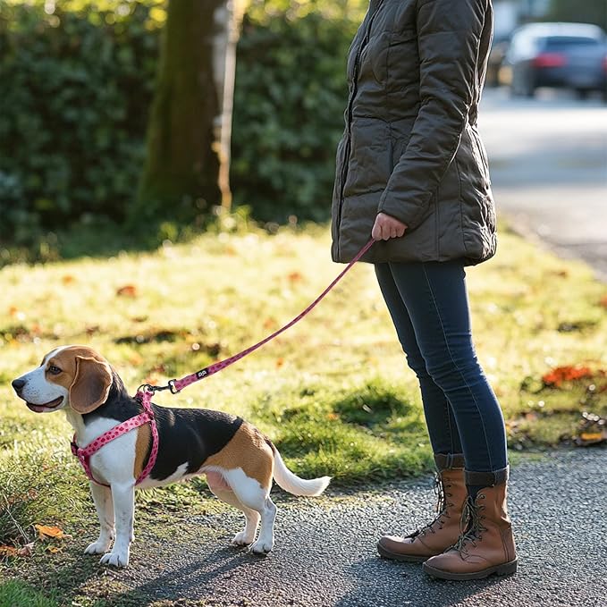 Dog Harness Leash Set Adjustable Heavy Duty No Pull Halter Harnesses for Small Medium Large Breed Dogs Back Clip Anti-Twist Perfect for Walking - Image 6