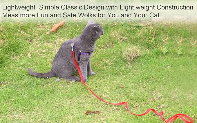 6 FT Puppy/Dog Leashes, Strong Traditional Style Leash with Easy to Use Collar Hook,Dog Lead Great for Small(Red,5/8" x 6 Feet) (Red) - Image 2