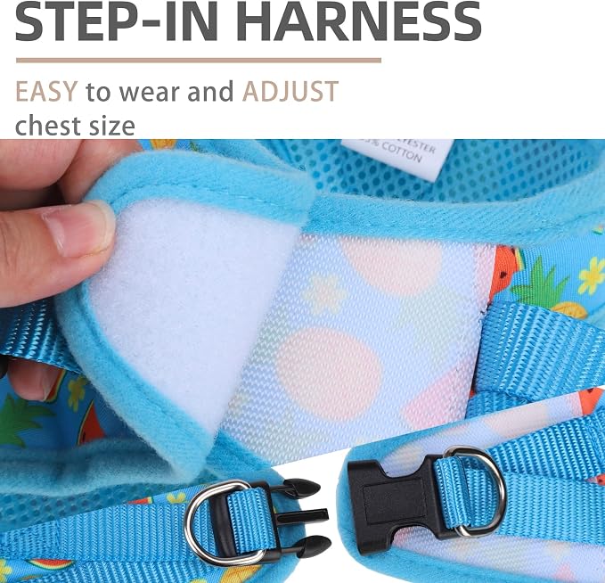 PUPTECK Dog Harness, Collar and Leash Set No Pull for Small Medium Sized | Cute Puppy Step-in Escape Proof Reflective No Choke Pet Cat Adjustable Walking Vest - Image 3