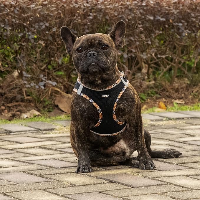 AMTOR Small Dog Harness with Leash Set, No Escape Easy Walk Puppy Harnesses for Training Walking, Step-in Reflective Soft Dogs Vest for XS S Medium Extra-Small Large Sized Dog(BlackYellow,XL) - Image 5