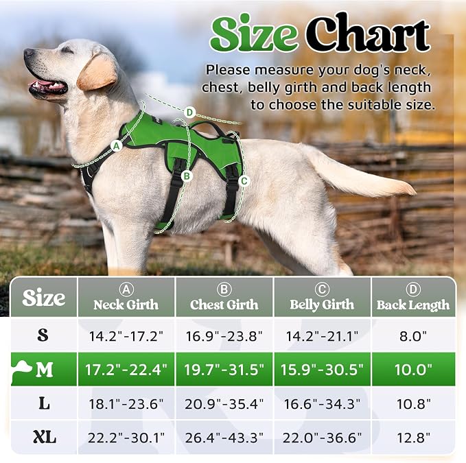 rabbitgoo Escape Proof Dog Harness for Medium, No Pull with Lift Handle | No Escape, Full Soft Padded, Reflective Adjustable Vest, Leash Clip for Walking Hiking Training, Green, Medium - Image 2