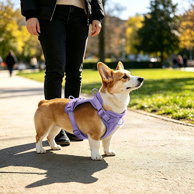 Wisedog Lightweight No Pull Dog Harness, Lilac, Medium | Air Mesh, 3 Clips, Adjustable, No Choke Design, Ideal for Walking Training - Image 5