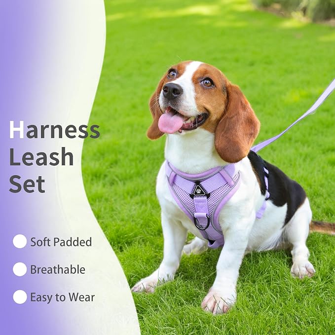 Dog Harness Medium Sized Dog Pet Vest with Leash Set Lilac L | Adjustable Puppy Vest Harness, No Choke No Pull, Soft Padded, Step-in Dog Vest, Reflective Cat Harness, Breathable Air Mesh - Image 2