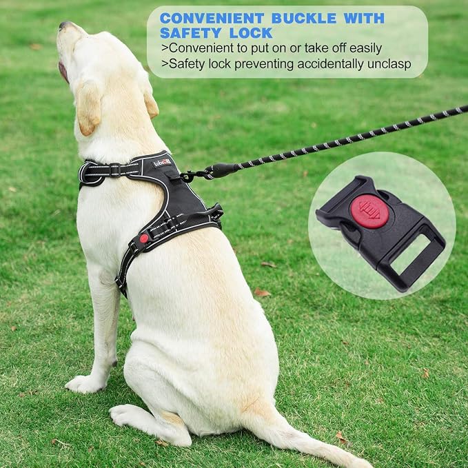 tobeDRI No Pull Dog Harness Adjustable Reflective Oxford Easy Control Medium Large Dog Harness with A Free Heavy Duty 5ft Dog Leash, Blue/Grey, XL - Image 4