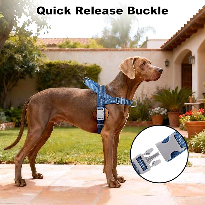 No Pull Dog Harness with Handle, Adjustable Soft Mesh Padded Vest | Reflective Walking Harness with Front Clip for Small Medium Large Dogs, Quick Fit No Escape for Training, Blue, L - Image 6