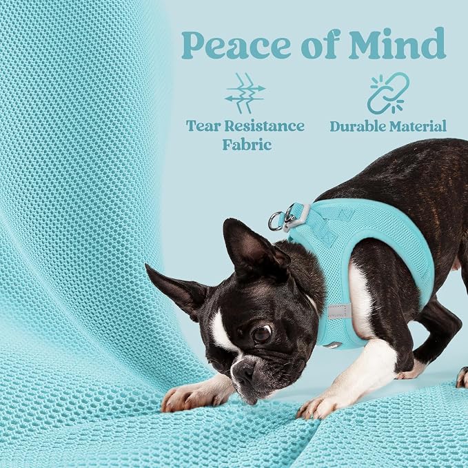 rabbitgoo Step-in Small Dog Harness, Puppy Vest for Small Sized Pet | Easy Put on and off, Lightweight, Soft, Breathable Quick-Dry Air Mesh for Comfortable Secure Walking, Mint Blue S - Image 4