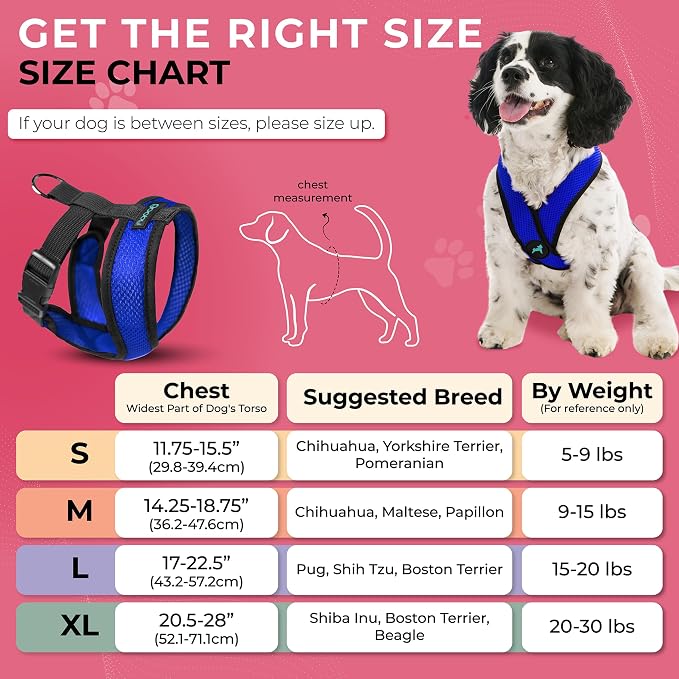 Gooby Comfort X Head-in Dog Harness, Choke-Free, Blue, X-Large | Patented choke-free X-frame; Secure head-in fit; Lightweight breathable mesh; Back metal D-ring; Machine washable - Image 5