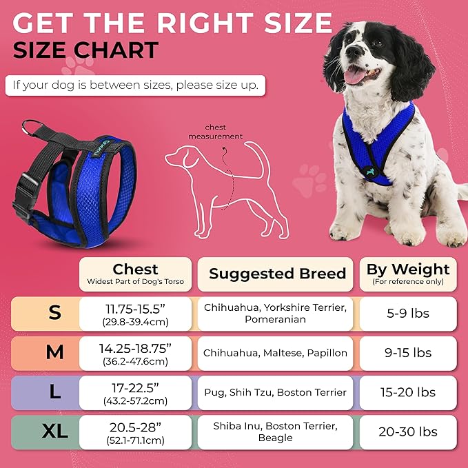 Gooby Comfort X Head-in Dog Harness, Choke-Free, Blue, Large | Patented choke-free X-frame; Secure head-in fit; Lightweight breathable mesh; Back metal D-ring; Machine washable - Image 5