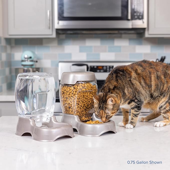 Petmate Pet Cafe Water Dispenser, XS, 0.25 GAL, Pearl Ash Blue, 7.3in | USA Made Gravity Waterer with Easy Grab Base for Cats and Dogs - Image 6