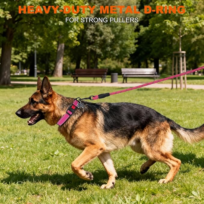 Taglory Reflective Dog Collar for Large Dogs, Comfort for Safe Night Walks | Soft Neck Cushioning, Adjustable 16-24 in, Sturdy Webbing Withstands Strong Pullers, Zinc Alloy D-Ring for Leash and ID Tags - Image 6