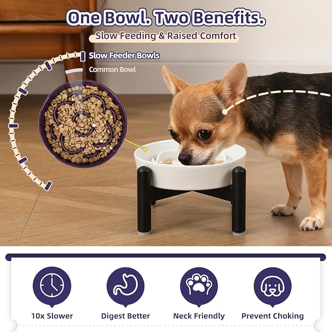 Elevated Slow Feeder Dog Bowl, 0.8 Cups Ceramic Raised Slow Feeder with Stainless Stand, 6.3 Inch Wide Lifted Dog Bowl for Small Breeds to Control Eating Speed, Grey - Image 3
