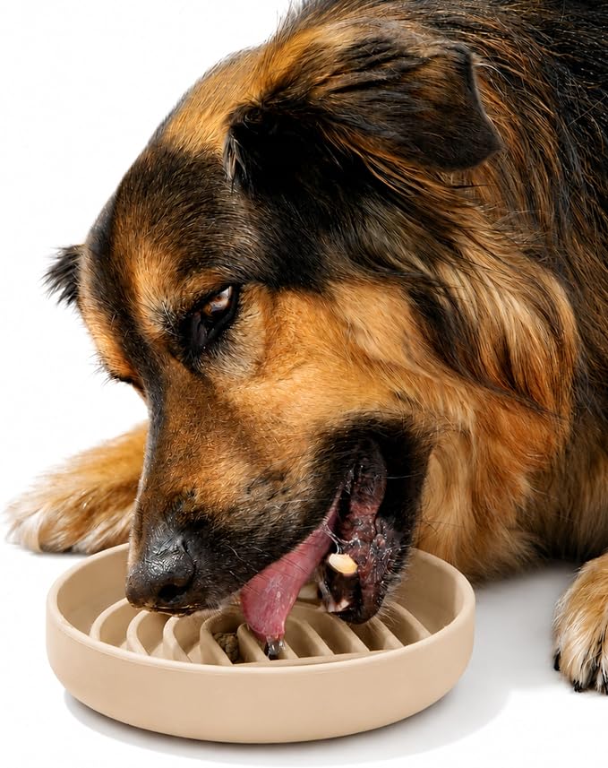 Should We Go? Slow Feeder Dog Bowls - Medium Size Silicone Slow Eating Dog Bowl for Puppies & Dogs with Suction Cup -Dishwasher-Safe, Lick Mat Design, Reduces Gulping,for All Breeds,7.5”x1.5”- Sand by ShouldWeGo