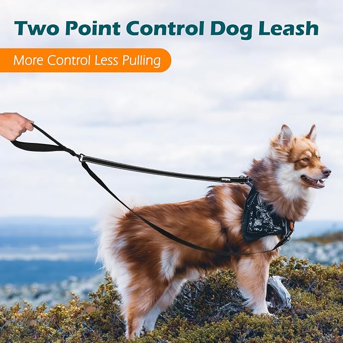 PetBonus Two Point Control Dog Leash, No Tangle Training Walking Leashes | Soft Padded Handle, Reflective, Works with No Pull Harnesses, Converts to Single Lead for Medium Large Dogs, Black - Image 2