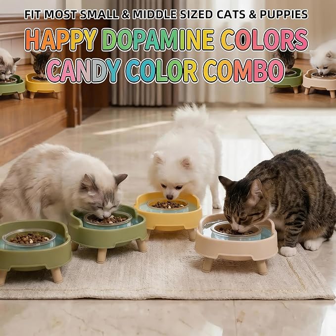 Ant Not Cross Elevated Cat Bowls Mess Proof-2 Food Grade Glass Bowls & 1 Lids- No Spill Cat Food and Water Feeding Station for Cats&Puppy Indoor & Outdoor,No Whisker Fatigue Dish,Beige - Image 7