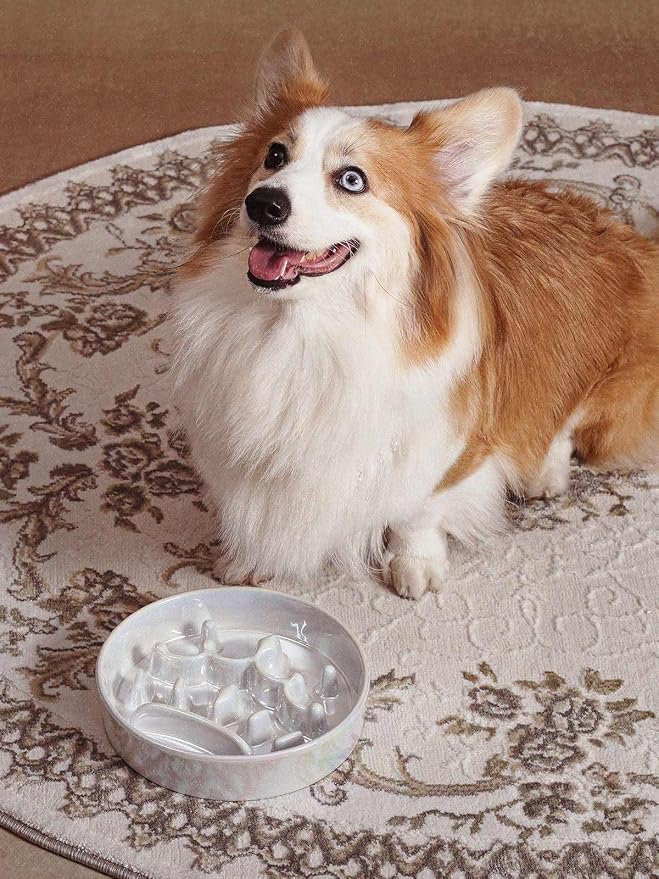 LE TAUCI Dog Bowls Slow Feeder Ceramic, 1.5 Cup Slow Feeding Bowl for Small and Medium Breed, Puzzle Dog Food Bowl for Fast Eater, Crown Silver - Image 2