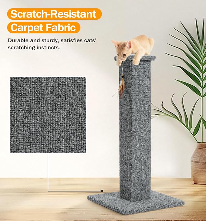 Made4Pets Cat Scratching Post for Indoor Cats, Carpet Cat Scratcher, 32" | Soft Carpet Surface for Cats That Prefer Fabric Scratching, Stable Base, Full-Body Stretching, Ideal for Kittens & Adult Cats - Image 6