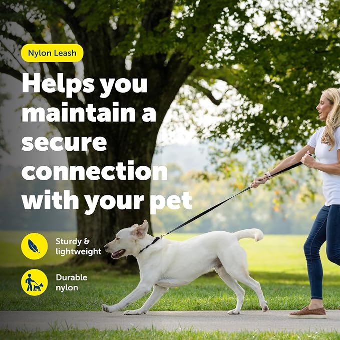 PetSafe Nylon Dog Leash - Strong, Durable, Traditional Style Leash with Easy to Use Bolt Snap - 1 in. x 4 ft., Red | Durable Nylon Leash with Easy on/off Bolt Snap Hook, Pairs Perfectly with Easy Walk Harness and Gentle Leader Headcollar - Image 2