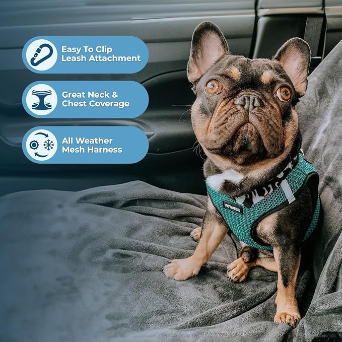 Voyager Step-in Air Dog Harness - All Weather Mesh, Reflective, No Pull Harness for Small, Medium Dogs, Cats - Secure with Hook & Loop Fastener, Buckle, Double D-Rings - Turquoise 2-Tone, XS - Image 4