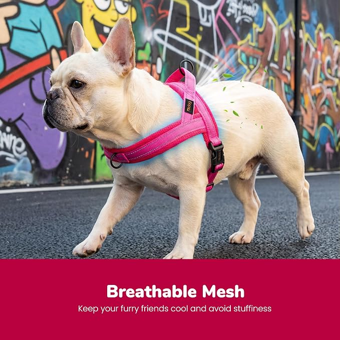 No Pull Dog Harness for Small Dogs, Breathable Mesh Padded,Hot Pink,S | Quick Fit, Easy On and Off, Lightweight, Reflective Vest Harness for Night Safty, Easy for Walking and Training, Chest 18-22" - Image 2