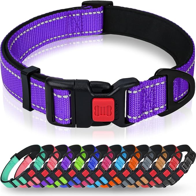 Taglory Reflective Dog Collar for Medium Dogs, Soft and Safe for Daily Walk | Soft Neck Cushioning, Adjustable 14-20 in, Sturdy Webbing Withstands Strong Pullers, Zinc Alloy D-Ring for Leash and ID Tags by Taglory