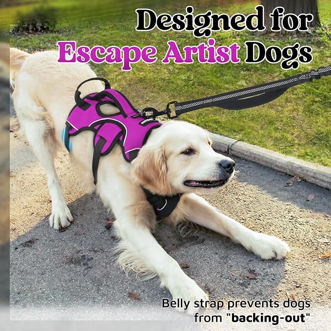 rabbitgoo Escape Proof Dog Harness for Large, No Pull with Lift Handle | No Escape, Full Soft Padded, Reflective Adjustable Vest, Leash Clip for Walking Hiking Training, Purple, Large - Image 2
