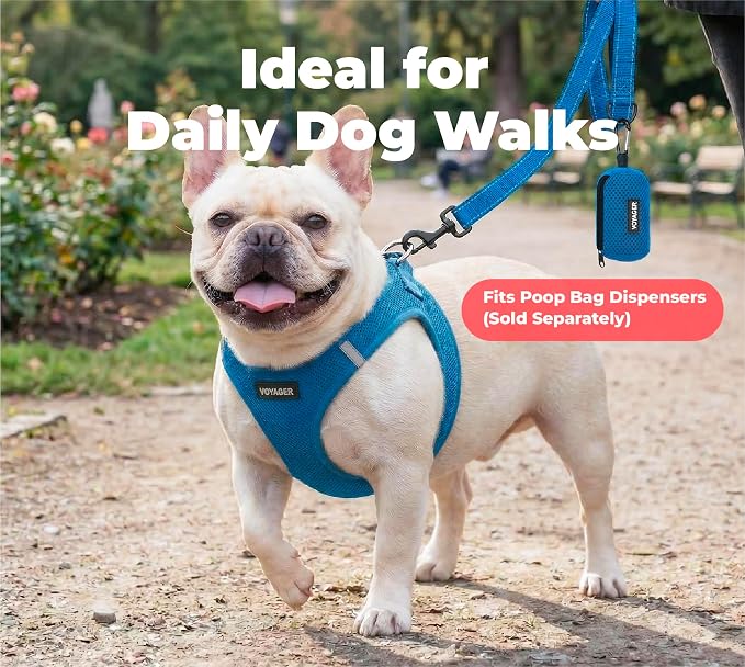 Best Pet Supplies Voyager Nylon Dog Leash - Royal Blue, Medium | 5ft in Length, 3/4" in Width, Reflective, Soft Neoprene Handle, Heavy Duty Metal Clips for Running, Walking & Training - Image 3