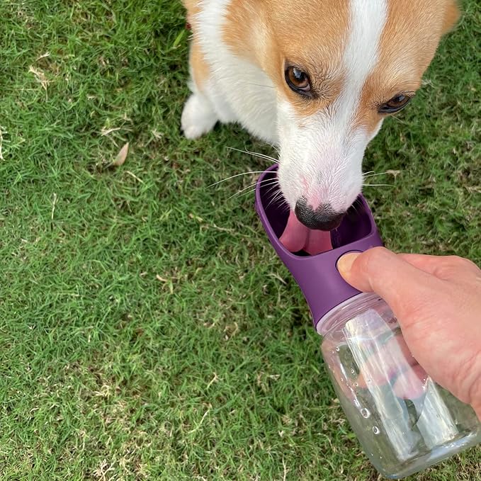 WePet Portable Dog Water Bottle, 19 OZ, Leak Proof Puppy Water Dispenser with Drinking Feeder for Pets Outdoor Walking, Hiking, Travel, Food Grade Plastic - Image 2