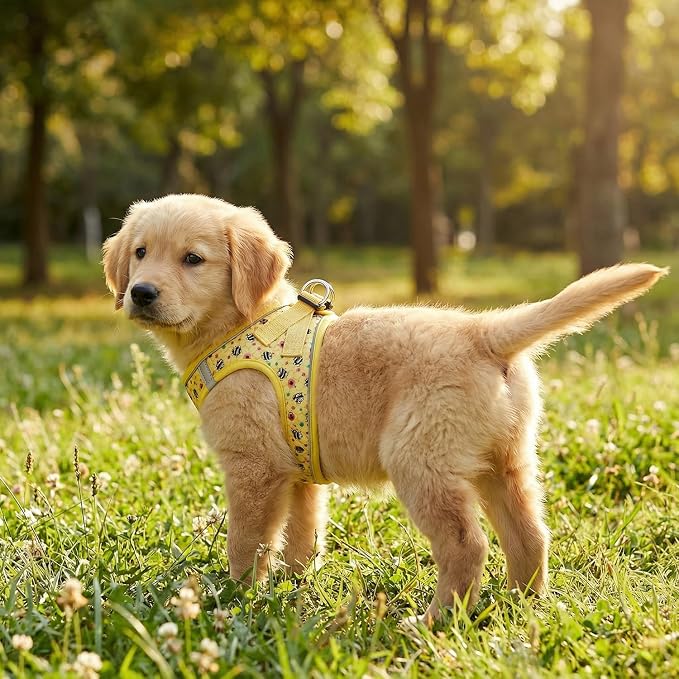 Mihqy Step in Dog Harness and Leash Set, Soft Breathable Mesh, Bee,M | Reflective, Adjustable No Pull Harnesses for Small Dogs, Lightweight Vest Harnesses, Fashion Floral Design - Image 8
