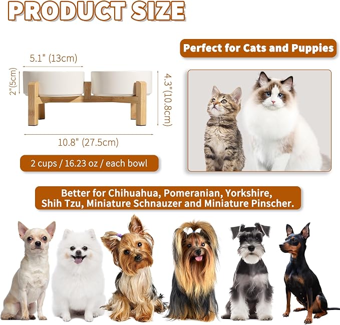 Elevated Ceramic Dog Bowl, 2 Cups Dog Food and Water Bowl Set with Stand | 5.1'' Double Dog Feeding Dishes, Non-Slip Raised Dog Feeder for Cats and Puppies, 16.23 OZ / 480 ML, White - Image 2