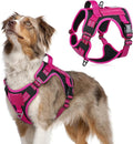 rabbitgoo Tactical Dog Harness for Medium, No Pull Military Service Vest | Molle & Handle, Heavy Duty, Adjustable, Reflective Straps, Easy Control for Training Walking, Black & Rose Red, Medium by rabbitgoo