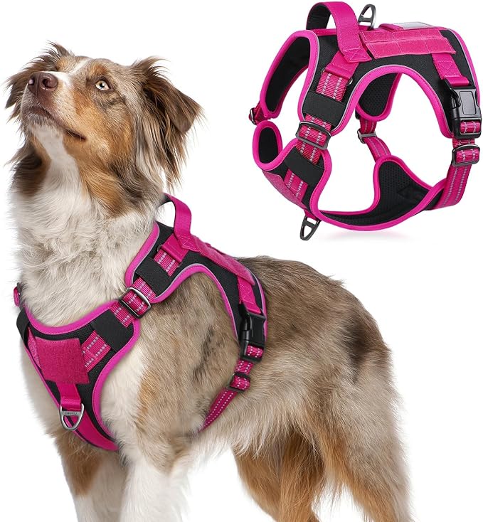 rabbitgoo Tactical Dog Harness for Medium, No Pull Military Service Vest | Molle & Handle, Heavy Duty, Adjustable, Reflective Straps, Easy Control for Training Walking, Black & Rose Red, Medium by rabbitgoo