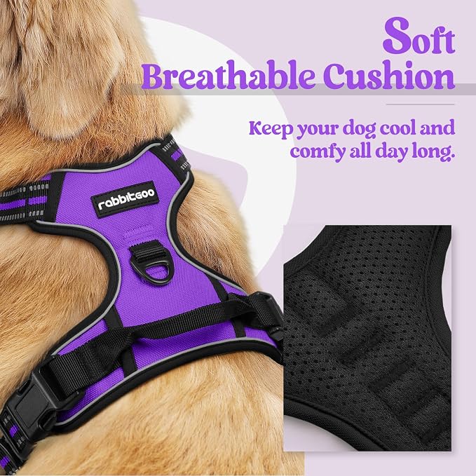 rabbitgoo Dog Harness, No Pull for Small Dogs with 2 Leash Clips, Pet Vest | No Choke with Handle, Adjustable Soft Padded, Reflective, Easy Control for Walking, Purple, Small - Image 2