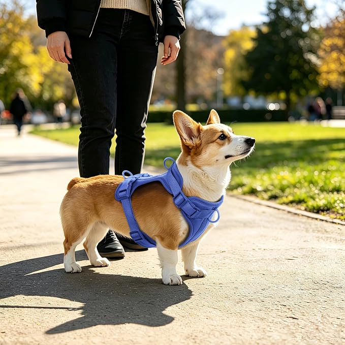 Wisedog No Pull Dog Harness, Blue, X-Small | Lightweight, Adjustable Breathable Pet Vest, Soft & Comfortable Cushion, Small Medium Large Dogs - Image 5