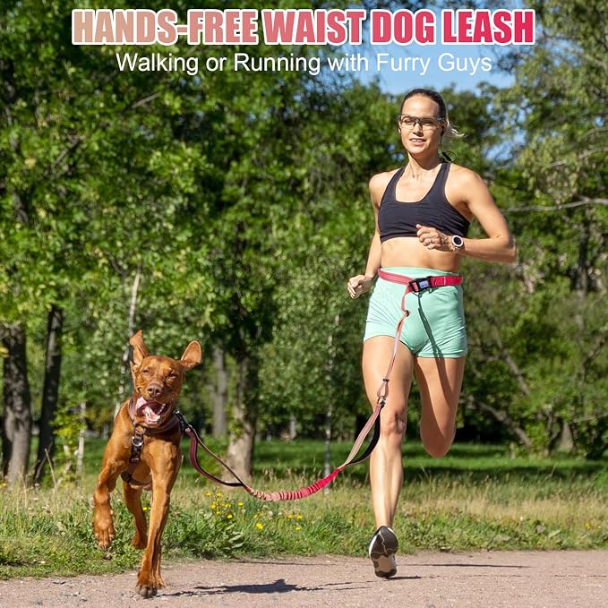 Heavy Duty Hands Free Dog Leash, 5-7 FT Reflective Adjustable Waist Dog Leash Belt with Padded Handles, Shock Absorbing Bungee and Car Seat Belt for Large Medium Dogs (Gradient Rose, XL) - Image 2