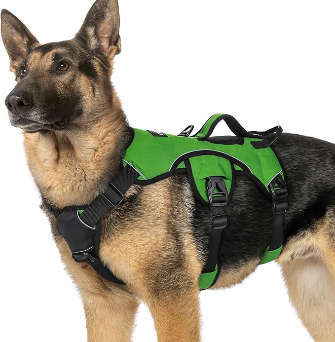 rabbitgoo Escape Proof Dog Harness for X-Large, No Pull with Lift Handle | No Escape, Full Soft Padded, Reflective Adjustable Vest, Leash Clip for Walking Hiking Training, Green, X-Large by rabbitgoo