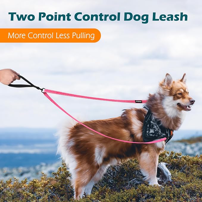PetBonus Two Point Control Dog Leash, No Tangle Training Walking Leashes | Soft Padded Handle, Reflective, Works with No Pull Harnesses, Converts to Single Lead for Medium Large Dogs, Pink - Image 2