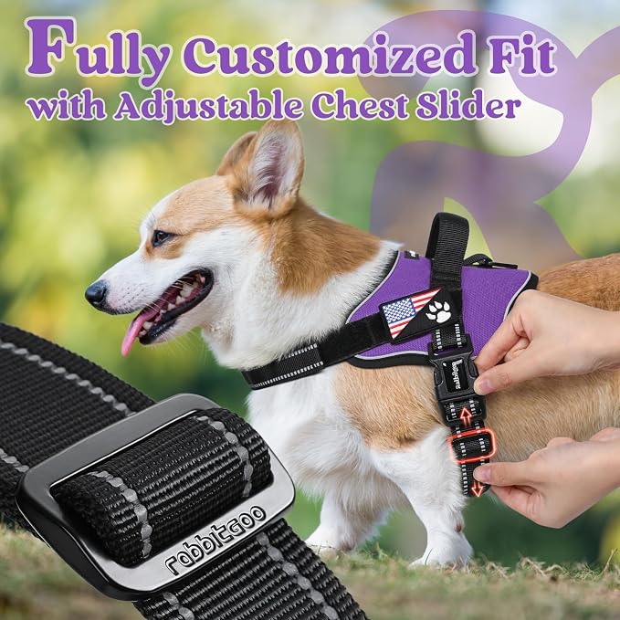 rabbitgoo No Pull No Choke Pet Vest, Adjustable Pet Harness with Molle | Medium Sized Dog Harness, Reflective, Easy Wearing with One Buckle for Walking, Training, Purple, M - Image 6