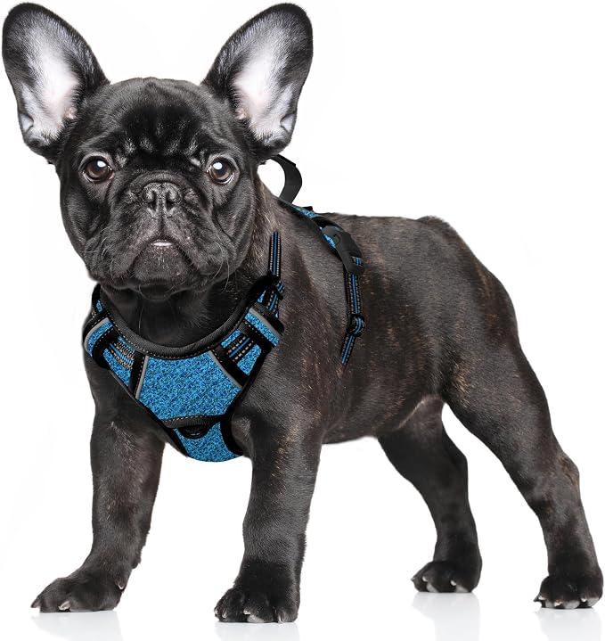 BARKBAY No Pull Dog Harness Large Reflective Dog Harness with Front Clip and Easy Control Handle for Walking Training Running with ID tag Pocket(Blue/Black,S) by BARKBAY