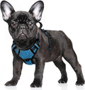 BARKBAY No Pull Dog Harness Large Reflective Dog Harness with Front Clip and Easy Control Handle for Walking Training Running with ID tag Pocket(Blue/Black,S) by BARKBAY