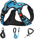 NESTROAD No Pull Dog Harness,Adjustable Oxford Dog Vest Harness with Leash,Reflective No-Choke Pet Harness with Easy Control Soft Handle for Small Dogs(X-Small,Blue) by NESTROAD